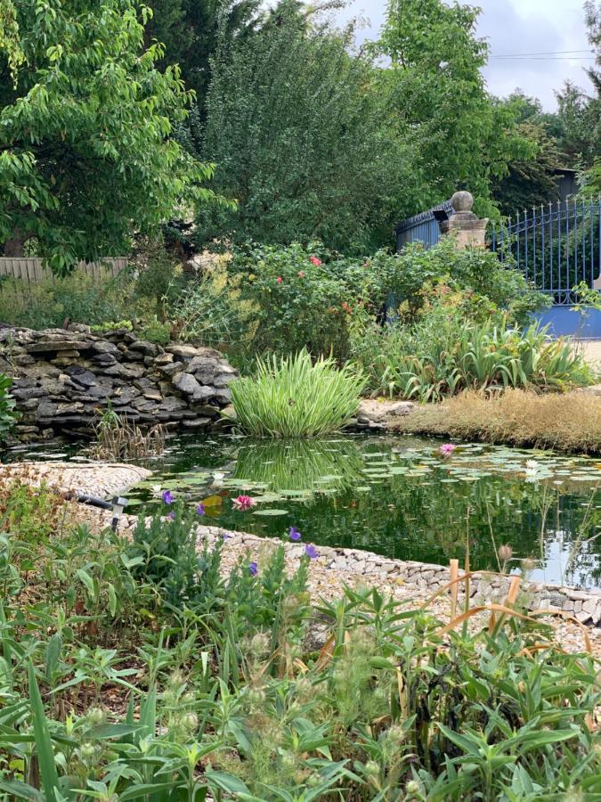 Maison D'Hotes La Chabanaise - Marais Poitevin Cramchaban Kültér fotó