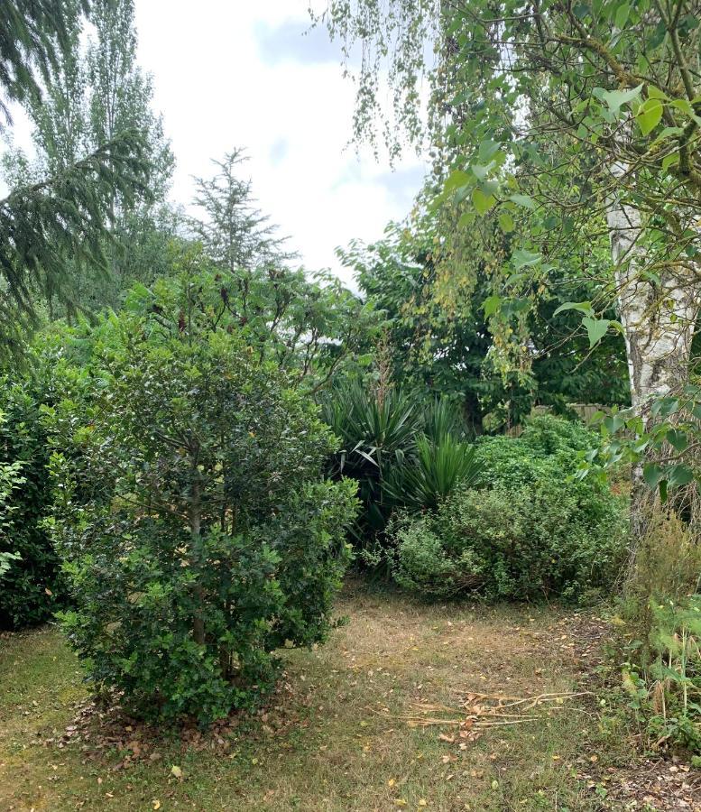 Maison D'Hotes La Chabanaise - Marais Poitevin Cramchaban Kültér fotó